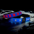 USB-C led Light up Dog Collar, 3D Design Comfortable and Soft Material,Multicolored Lighting，Night Dog Collar (SP-Blue, M(15.7-19.7"))