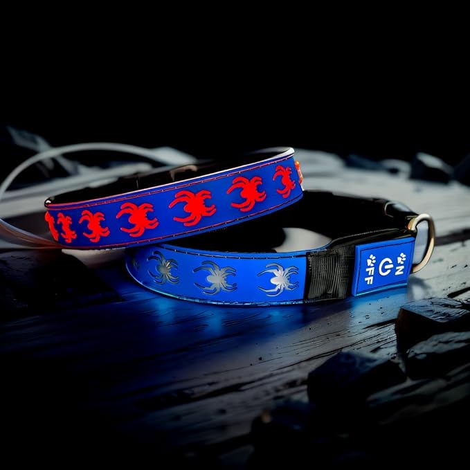 USB-C led Light up Dog Collar, 3D Design Comfortable and Soft Material,Multicolored Lighting，Night Dog Collar (SP-Blue, M(15.7-19.7"))