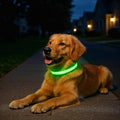 LED Dog Collar USB Rechargeable - Light Up Dog Collar Safety Pet Collars with Lights for Night Walking,Camping (Green, L)