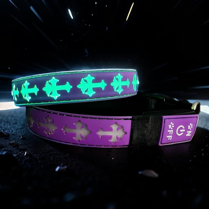 Personalized USB-C led Light up Dog Collar with Airtag Holder, IP68 Waterproof,15 Modes Changing Multicolored Lighting (Purple, M(11.8-15.7"))