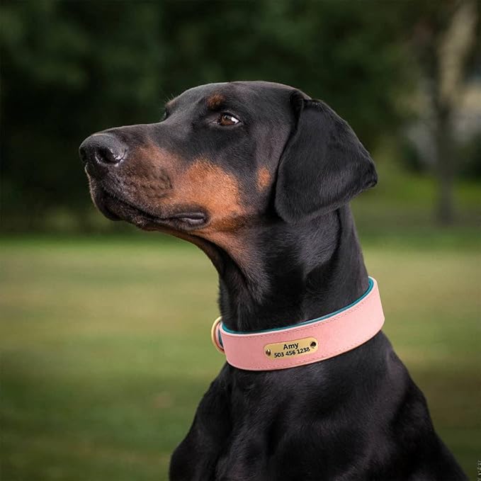 Personalized Dog Collar Custom Leather Dog Collars Soft Inner Padded Pet ID Collar for Small Medium Large Dogs Pitbull Bulldog Pink S