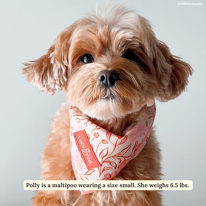 Lucy & Co. Woodland Wildflower Dog Bandana - Designer Puppy Accessory. 100% Polyester. Soft, Stylish and Appropriate for Any Occasion - Machine Washable