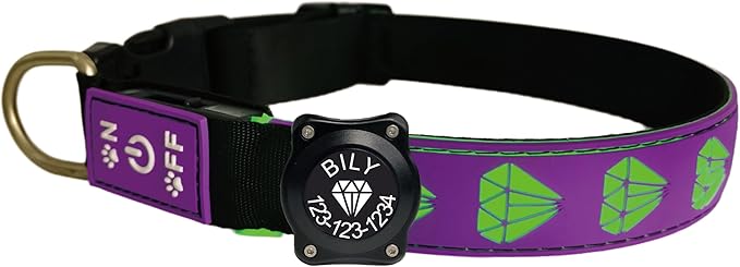Personalized Dog Collar Waterproof airtag Dog tag Holder,USB C Light up Night Black Dog Collar (Purple, XL(19.7-23.6"))