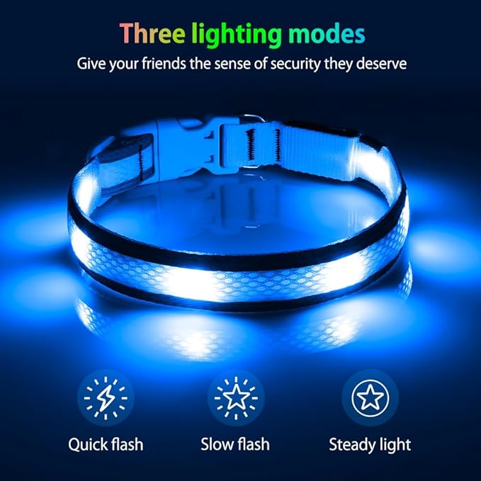 Illumifun LED Dog Collar, USB Rechargeable Light Up Collar Glow in The Dark, Reflcetive Safery Pet Light for Large Dogs Walking at Night (Large, Light Blue)