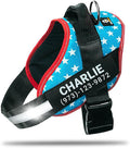 Personalized No-Pull Dog Harness with Name Patch, Adjustable, Reflective, Padded, Heavy Duty Pet Vest to Prevent Tugging, Pulling, or Choking, Training and Walking, Light Blue, S