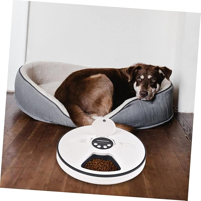 Automatic Pet Feeder Timer Food Dispenser for Dogs and Cats Six Design Easy to Material Grey