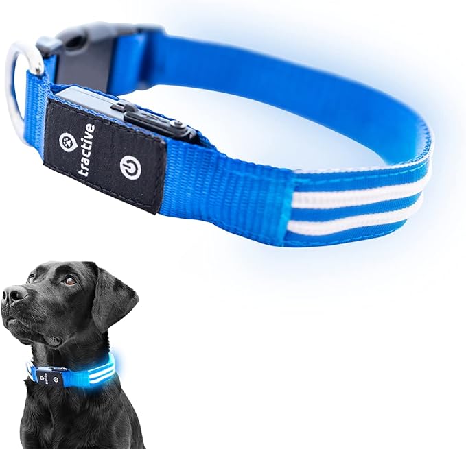 Tractive LED Light Up Dog Collar USB Rechargeable Waterproof (Blue), Large