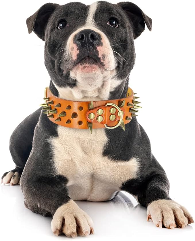 Spiked Studded Leather Dog Collars Wide Sharp Pitbull Big Dog Collar Adjustable for Medium Large Dogs Boxer Bulldog Red L XL Orange XL