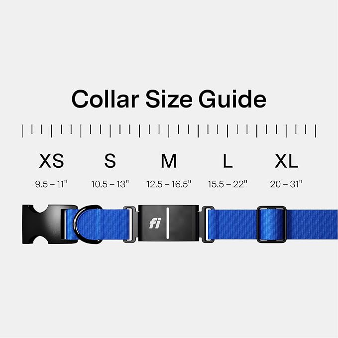 New Fi Series 3+ Smart Dog Tracker Collar [6 Month Membership Included] GPS Tracker for Dogs with Health & Behavior Monitoring, Escape Alerts, Waterproof, LED, Apple Watch Compatible (Blue, X-Small)