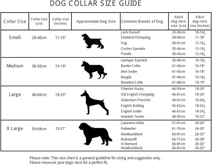 Glow Fetch It! HD Ultra Bright LED Safety Dog Collar, Adjustable, USB Rechargeable with 3 Modes, Water Resistant, Extremely Durable and Easy to Clean (Blue, Medium)