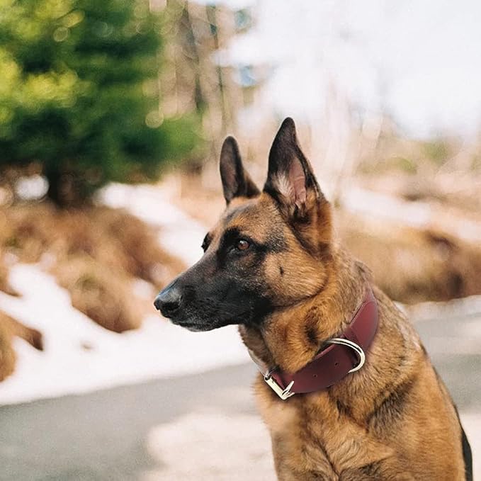 Dog Puppy Collar Genuine Leather Pet Collars for Small Medium Large Dogs Real Leather German Shepherd Big Dog Collar XS-XXL Red M