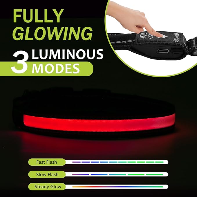 Glowing Dog Collars for Large Dogs, Glow Dog Collars Rechargeable, Flashing Dog Collars for Dark, Waterproof Led Light Up Collar (Red, Pack of 1, L)
