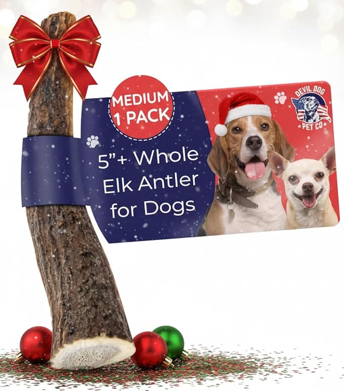 Devil Dog Pet Co. Elk Antlers for Dogs, Medium 5"+, 1 Pack, Grade A Long Lasting Chew for Aggressive Chewers, Premium USA Naturally Shed Antler – Healthy, No Odor, Durable Dog Chew