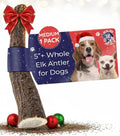 Devil Dog Pet Co. Elk Antlers for Dogs, Medium 5"+, 1 Pack, Grade A Long Lasting Chew for Aggressive Chewers, Premium USA Naturally Shed Antler – Healthy, No Odor, Durable Dog Chew