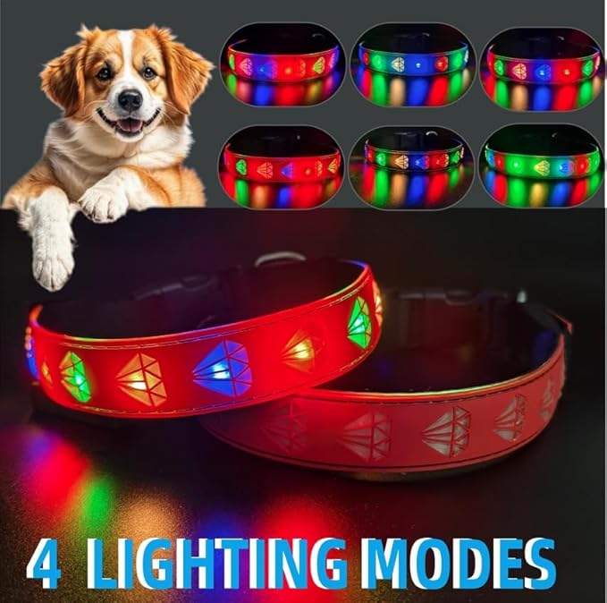 Customlized USB-C led Light up Night Walking Dog Collar with Waterproof airtag Holder, 4 Modes Running Flashing Light (RED, XL(19.7-23.6"))