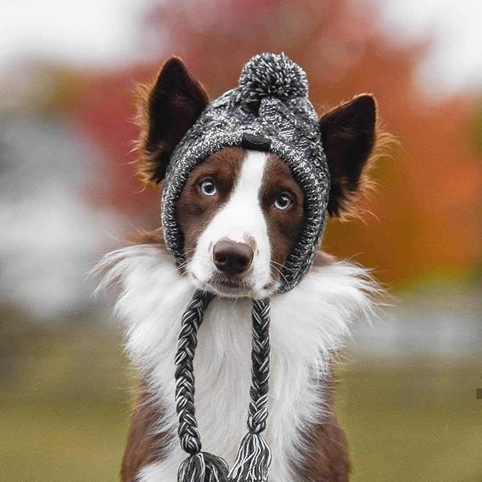Winter Dog Hat,Knitting Wool Cap,Warm Pet Head Wear with Long Braid Puppy’s Head Accessorie (M)