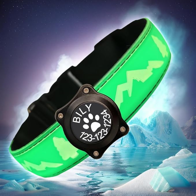 Personalized Light up Dog Collars Rechargeable with Waterproof airtag Holder for Black Dog Night Walking (Green Collar 15 Modes Lighting, XL(19.7-23.6"))