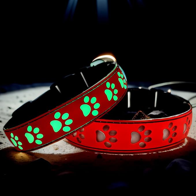 Dog Collar with Lights, 15 Lighting Modes Silicone Pet Collar, USB C Rechargeable LED Dog Collar for Night Safety, Adjustable Soft Glowing Collar for Dogs (PW-RED, M(15.7-19.7"))