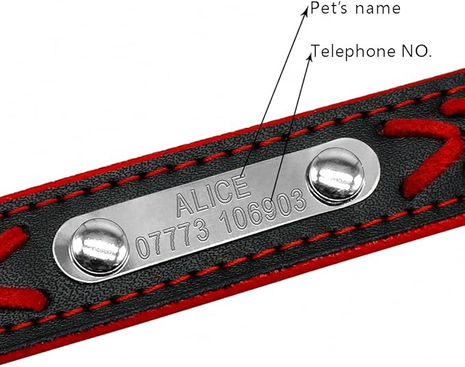 Customized Dog Collars Adjustable Padded Leather Personalized Pet Name ID Collar Free Engraving for Small Medium Large Dogs Cats Red XS