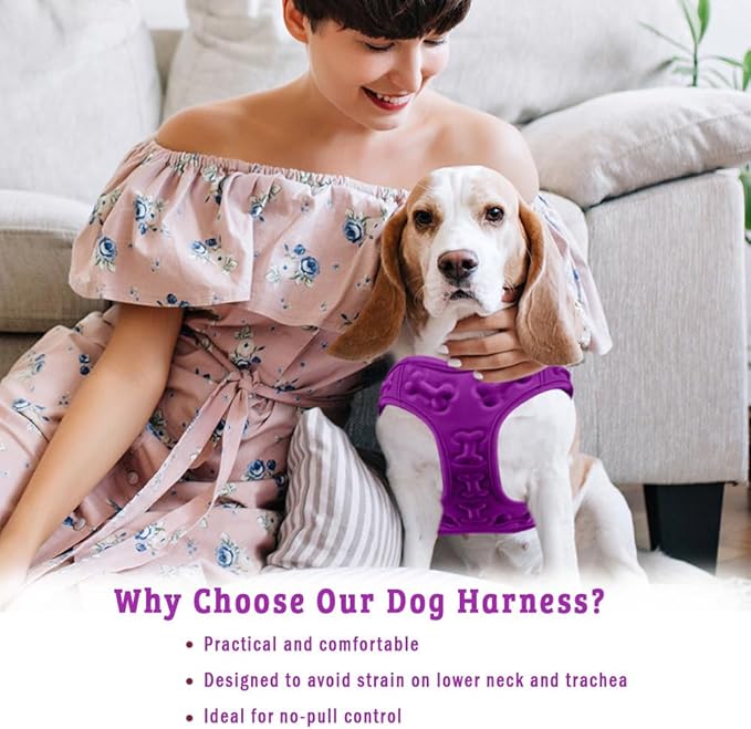 Comfort Fit Dog Harness Small Medium Sized Dogs Extra Comfort No Pull Step in Dog Harness with Adjustable Buckles Soft Padded Easy Control Vest Harness Training Walking Running Inside Velvet Plush