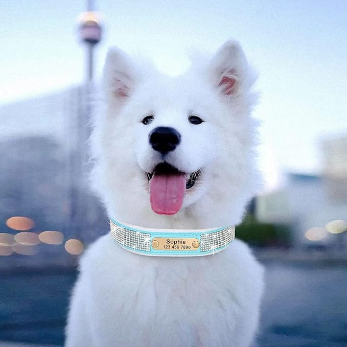 Personalized Dog Collar Crystal Rhinestone Dog Collars Anti-Lost Soft Padded ID Collar Free Engraved for Small Medium Large Dogs Blue S