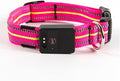 Dog Collar Light USB Rechargeable with Reflective Strips, Waterproof Adjustable Dog Collar Lights Up for Night Walking, Bright Light Collar for Dog