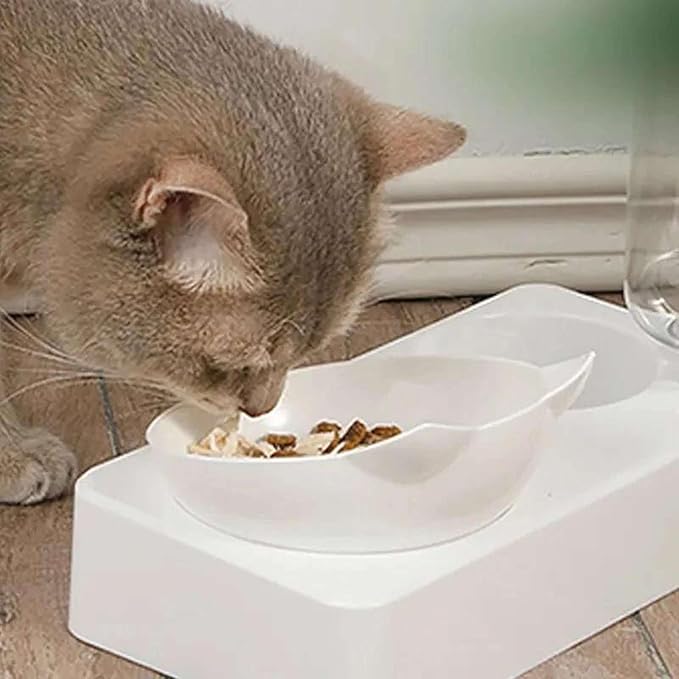 Dual-Purpose Pet Bowl Tilt to Protect Cervical Vertebrae Dog Food Bowl Automatic Drinking Feeder