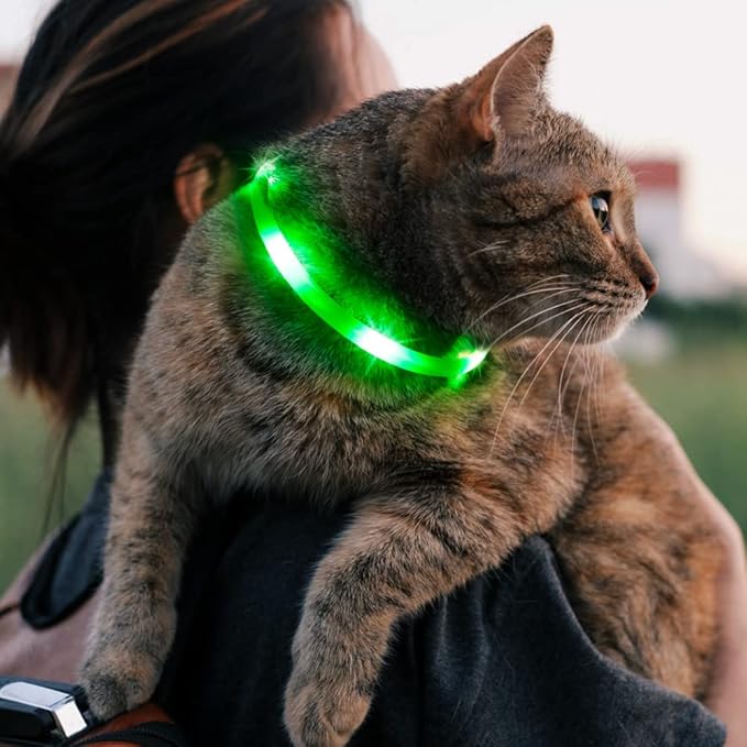 BSEEN Light Up Dog Collar for Small Dogs, Silicone LED Cat Collar Rechargeable Glowing Puppy Collar Dog Lights for Night Walking (Green-XS(40cm))