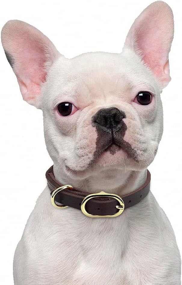Dog Puppy Collar Genuine Leather Pet Collars for Small Medium Large Dogs Real Leather German Shepherd Big Dog Collar XS-XXL Coffee XL