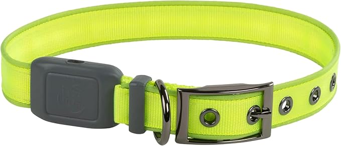 LED Rechargeable Dog Collar - Medium