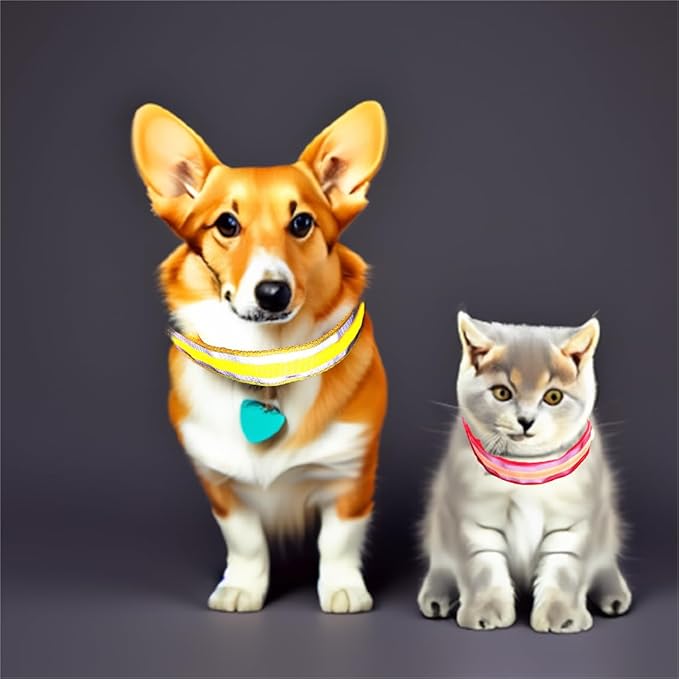 MANON ROSA LED Dog Collar USB Rechargeable Light Up Dog Collar Adjustable Nylon Soft Mesh Safety Glowing Collar for Small Medium Large Pet Dogs Cats-Nighttime Accessories (Blue,Small)
