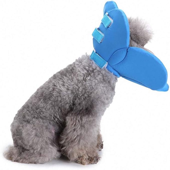 Lakke Flower Colorful Pet Dog Necklace Collar Various Pattern Shape Puppy Playing Collars for Small Dog Blue M