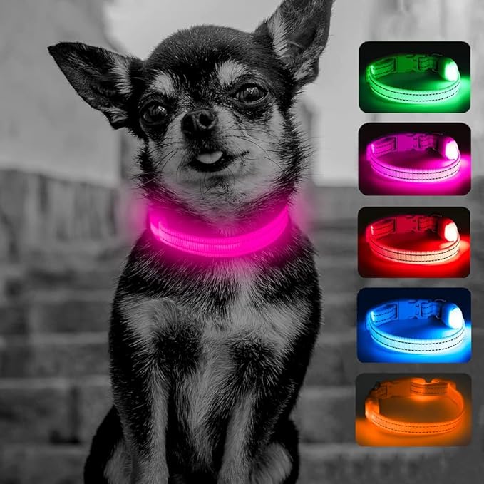Candofly Puppy Light Up Dog Collar - USB Rechargeable LED Dog Collar for Small Dogs & Cats Night Walking (X-Small, Pink)