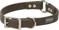 Terrain D.O.G. Brahma Webb Hunting Dog Collar