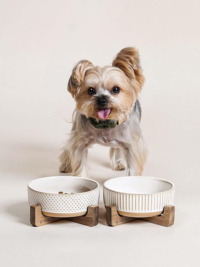 LE TAUCI PET Dog and Cat Bowl Set with Acacia Wood Stand - 2 Cup Ceramic Puppy Bowls for Cats &Small Dogs, Dual Food and Water Bowls with Weighted Non-Slip Base, Lines+Dot