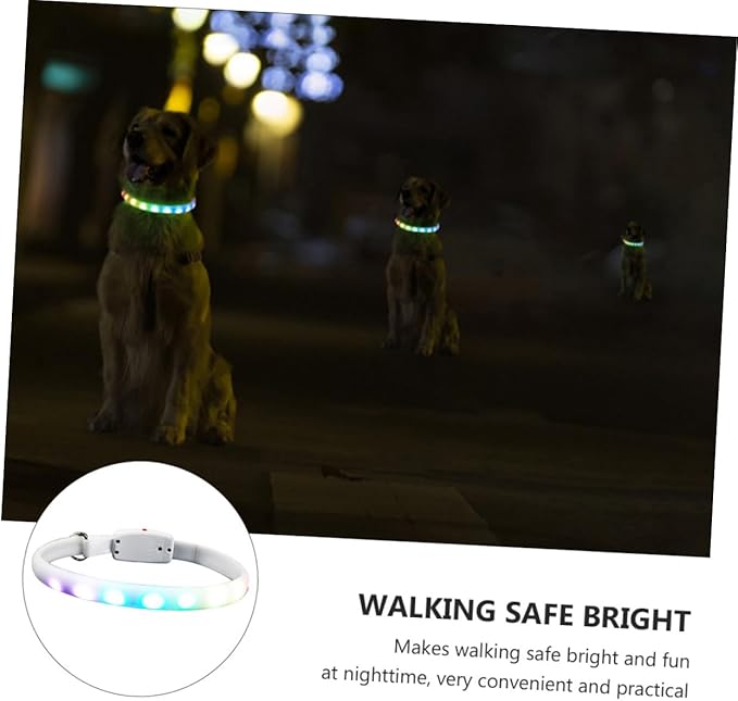 USB Charging LED Dog Collar Glowing Pet Collar with White Light for Evening Use USB Rechargeable for Dogs