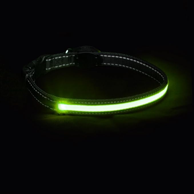 Sherry Kline LED Light-Up Pet Collar - USB Rechargeable - Flashing Glow in The Dark Size Large, Color: Green
