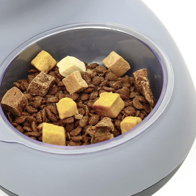 Dogs Food Bowls Automatic Water Dispenser Slow Feeding Dogs Bowl with Nop-Slip Stand for Water and Food Easy Washable