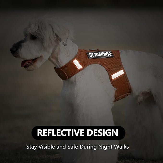 Dog Harness for Puppy – Adjustable Reflective Easy Put On Soft Mesh Vest for Small Dogs with 2 Patches (Carmel Brown,XS)