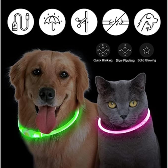 USB Rechargeable Luminous Collar Adjustable Led Glowing Dog Collar for Large Small Dogs Cat Night Light Collar Pet Safety Harnes (Orange USB Charging,XL Neck 42-56 cm)