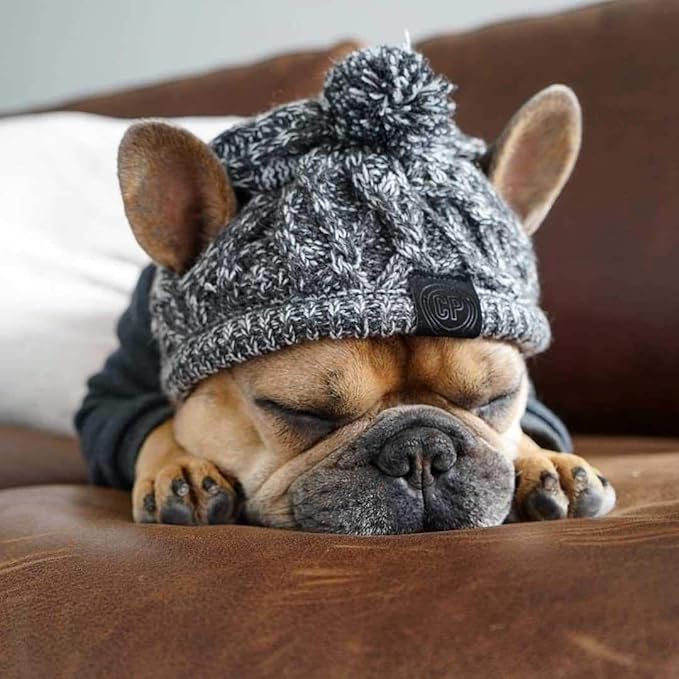 Winter Dog Hat,Knitting Wool Cap,Warm Pet Head Wear with Long Braid Puppy’s Head Accessorie (M)