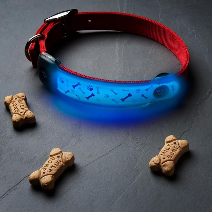 NiteDog Rechargeable LED Collar Cover, Disco, One Size