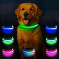 Light Up Dog Collar, Multicolor LED Dog Collar with 7 Modes, USB-C Rechargeable Reflective Glow Collar, Waterproof & Adjustable Design with Battery Indicator for Safe Night Walks(Medium)
