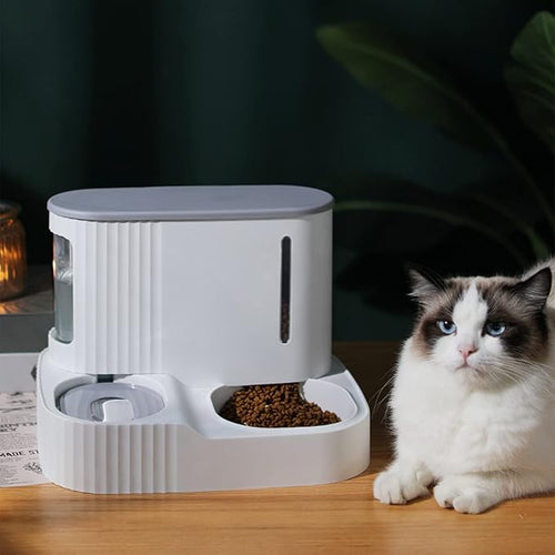 2 in 1 Automatic Gravity Cat Feeder, Large Capacity Separated Dog Food and Water Dispenser for Small Medium Cats, Dogs, Puppies and Rabbits