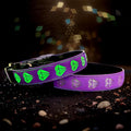 Subversive USB-C led Light up Airtag Dog Collar, Subversive 3D Sunflower Design Comfortable and Soft Material,Multicolored Lighting (D-Purple, M(15.7-19.7"))