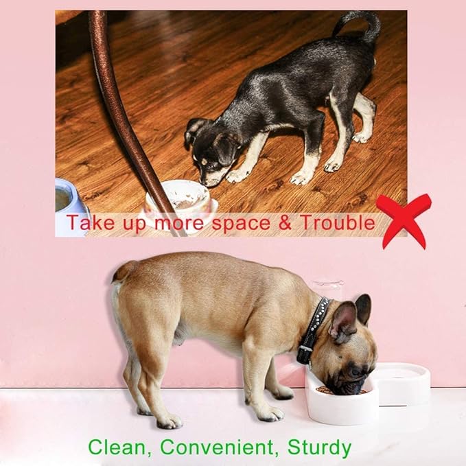 pet Water Dispenser 2 in 1 Pet Feeder Water Automatic Dispenser with Bottle Dog Cat Spill Proof Pet Drinking Fountain Water Bowl for Pets Feeding No Spill Pet Water Bowl for Puppy Kitten Feed Pet Bow