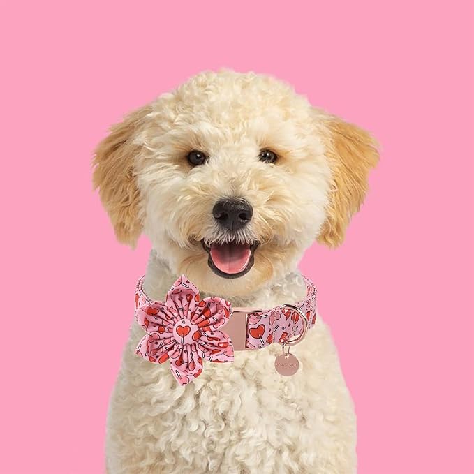 Valentine Dog Collar with Flower, Heart Flower Collar for Puppy Girl Boy Dog or Cat, Comfortable Dog Collar Flower with Durable Metal Buckle, Cute Pet Collar,XL, Neck 16-26in