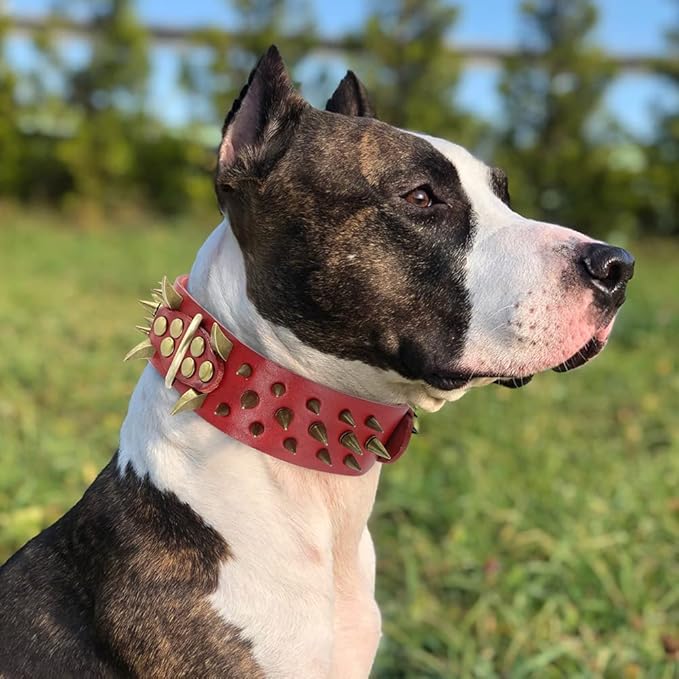 Spiked Studded Leather Dog Collars Wide Sharp Pitbull Big Dog Collar Adjustable for Medium Large Dogs Boxer Bulldog Red L XL