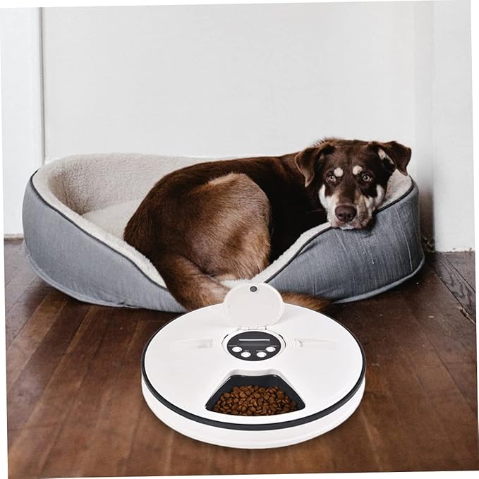 BESPORTBLE Timed Auto PET Feeder 6-Meal Automatic PET Food Bowl for Cats and Dogs Adjustable Portion Control
