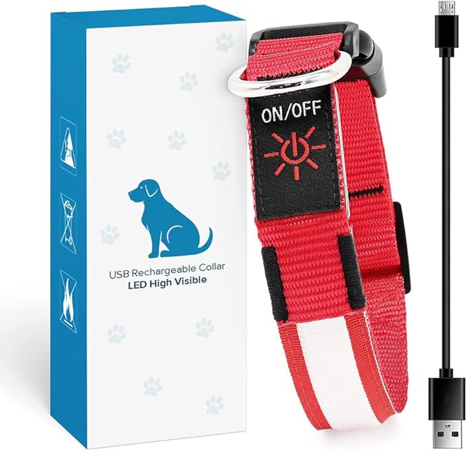 BSEEN Light Up Dog Collar, Rechargeable LED Puppy Collar Reflective Pet Collar Water-Resistant Dog Camping Gear Glowing Dog Lights for Night Walking (Ruby Red, Small)